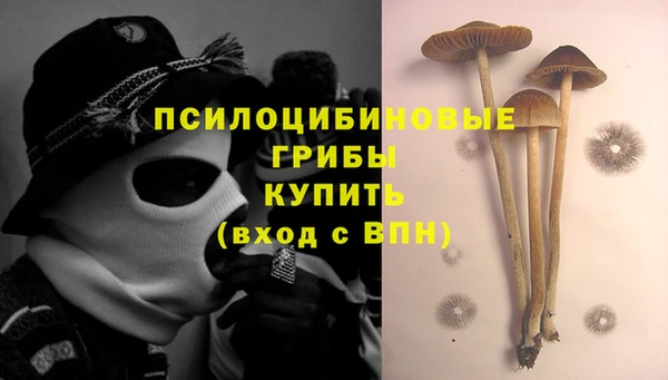 apvp Карталы