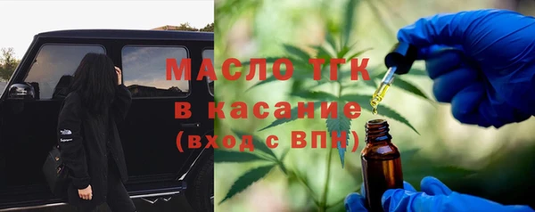 амф Каменка