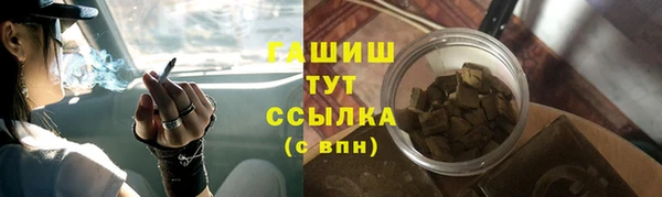 амф Каменка