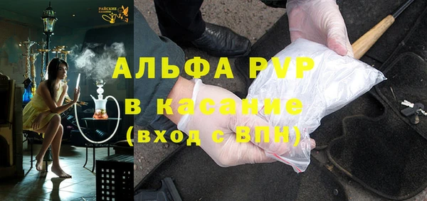 PSILOCYBIN Карпинск