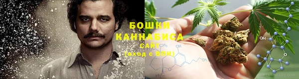 PSILOCYBIN Карпинск