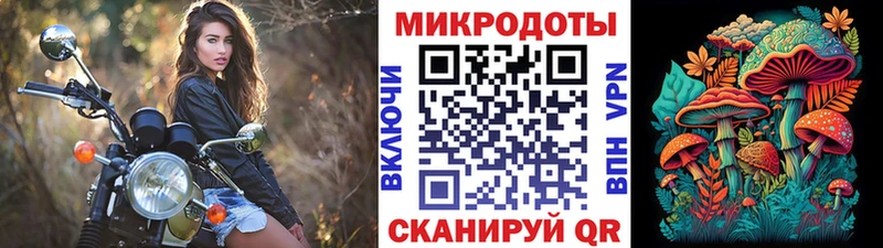 Купить закладки  Жуков  Псилоцибиновые грибы Cubensis 